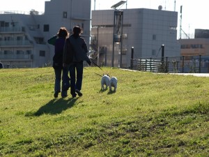 イヌ友が出来るのですから、クル友が出来ても良いハズです