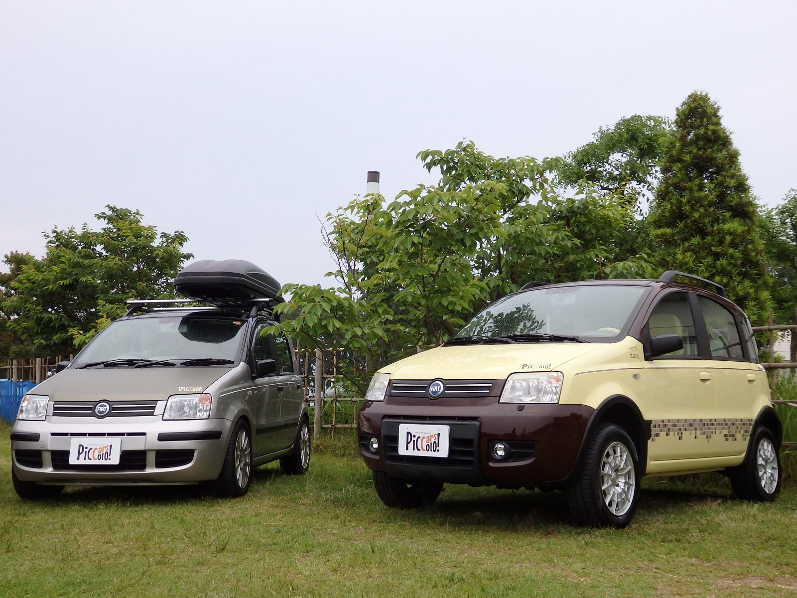 オリジナルブランド中古車（FIAT PANDA2）