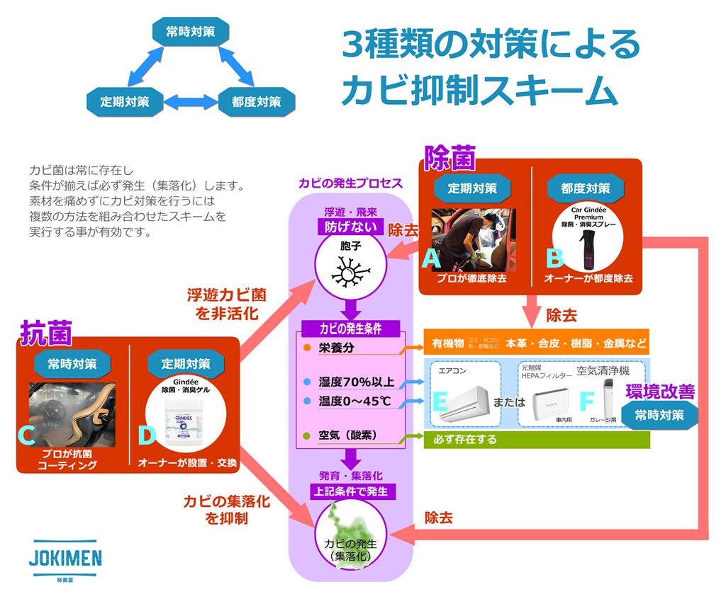 大切な愛車のカビ対策は、人も素材も痛めないカビ抑制スキームで解決します